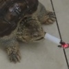 1111