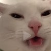 蓋比ㄦ