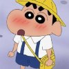 是叮咚鸭