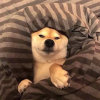 raspy_resonance_0fu