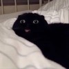 77