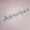 视线所及只剩生活