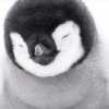 一七