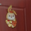 卢烨娜
