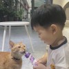 陈陈梓妍