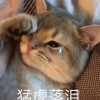 玉城