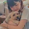 伊辰