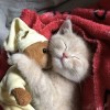 柚子皮皮
