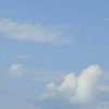 夏