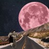 Ronnie_kh