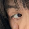 情愿