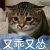 宋