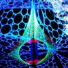 koala psychedelic