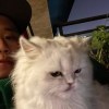 绵阳少女的梦