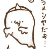kyle_chao