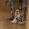 春