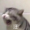 郭佳曄