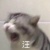 郭佳曄