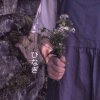 不甜