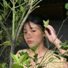 安娜音樂