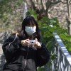 蕎