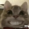 5000