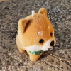 宣