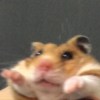 李