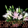 莫问我
