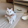 咩咩羊