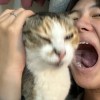 CY