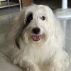いずみ