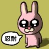 葱白不吃葱