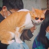 bel_ian_919