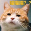 陳敬欽