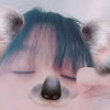 zyy97