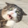 Ke