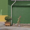 这个肯定没人用