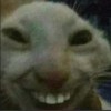 Eunice
