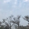 Abyang