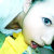 ALBEE