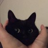 CH