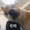 AderCharlie01