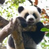Adorable__