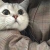 可乐啦.?️