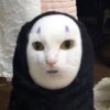 琥珀丸