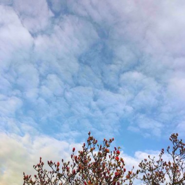 雲和藍天