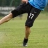 Andreolli
