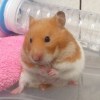 煞氣a抖宅