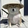 DullBoy